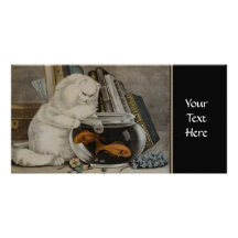 Pesca del gato persa tarjetas fotograficas personalizadas