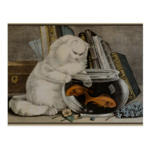 Pesca del gato persa tarjetas postales