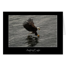 Pesca del sistema del regalo de Eagle calvo Felicitaciones