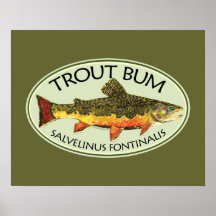 Pesca del vago de la trucha posters