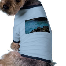 Pesca ida camisa de perrito