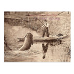 Pesca… tarjetas postales