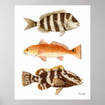 Pescado del agua salada impresiones