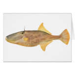 Pescados - cittata amarillo de Leatherjacket - de  Tarjetas