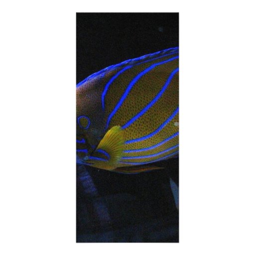 Pescados coloridos tarjetas publicitarias a todo color