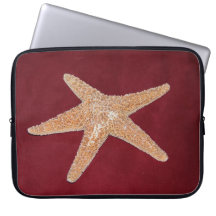 PESCADOS DE LA ESTRELLA FUNDA ORDENDADORES