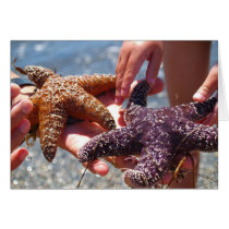 Pescados de la estrella tarjetas