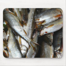 Pescados de los piscardos del lucio europeo alfombrillas de ratones