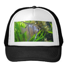 Pescados del ángel gorros bordados