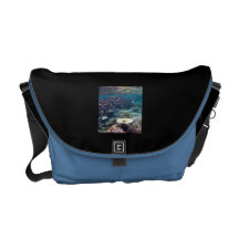 Pescados del cirujano de los azules claros bolsas de mensajería