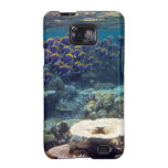 Pescados del cirujano de los azules claros samsung galaxy SII fundas