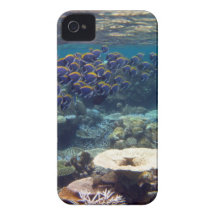 Pescados del cirujano de los azules claros iPhone 4 funda