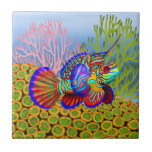 Pescados del mandarín en la teja de los corales de