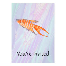 Pescados del paraíso comunicados