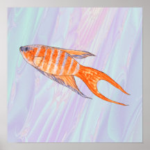 Pescados del paraíso posters