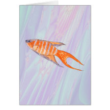 Pescados del paraíso tarjetón