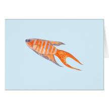 Pescados del paraíso, Watercolor. Tarjetón