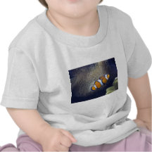 pescados del payaso, 2 camiseta