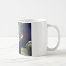 pescados del payaso, 2 taza de café