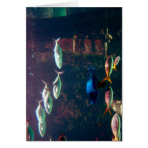Pescados en acuario felicitación