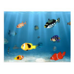 Pescados en el océano postales