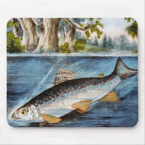 Pescados enganchados tapete de raton