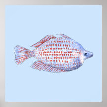 Pescados. Línea roja Rainbowfish. Impresiones
