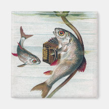Pescados que juegan el lirio del acordeón y de agu iman