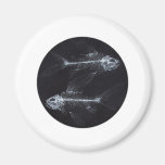 Pescados radiografiados por FishTs.com Imanes Para Frigoríficos