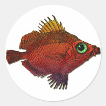 Pescados rojos del disco de la fantasía del oro pegatinas redondas