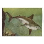 Pescados - tiburón blanco - carcharias del Carchar Felicitación