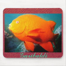 Pescados tópicos Mousepad de Garibaldi