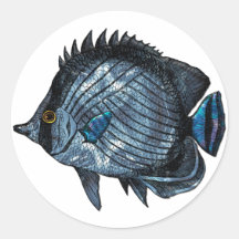 Pescados tropicales de la mariposa del azul de ace pegatina redonda
