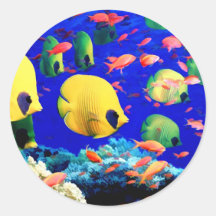 Pescados tropicales en el mar de coral pegatina