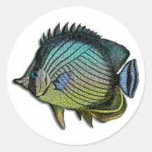 Pescados tropicales rayados metálicos de la maripo etiqueta redonda