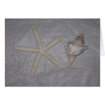 Pescados y Seashell de la estrella Tarjeta