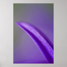 Pétalo Posters