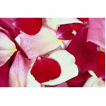 Pétalos color de rosa mezclados esculturas fotográficas