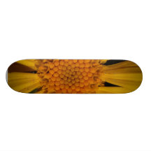 Pétalos de la flor patín