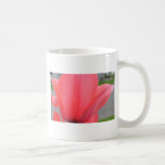 Pétalos de un tulipán tazas de café