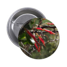Pétalos rojos de la flor del desierto pin