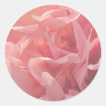 Pétalos rosados de la amapola pegatina