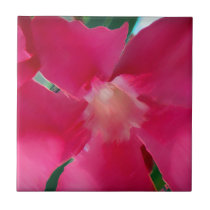 Pétalos rosados de la flor azulejos
