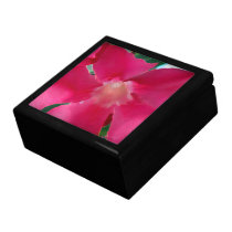 Pétalos rosados de la flor cajas de regalo