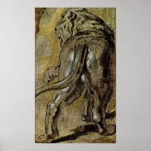 Peter Paul Rubens - leona Poster