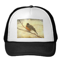 Petirrojo americano femenino gorras