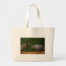 Petirrojo Bolsas De Mano
