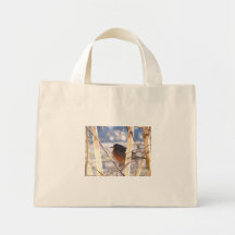 Petirrojo Bolsas De Mano