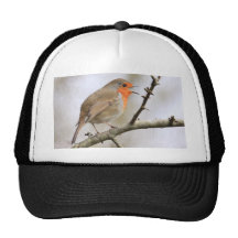 Petirrojo de febrero gorro
