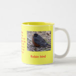 PETIRROJO de la taza del amante del pájaro
